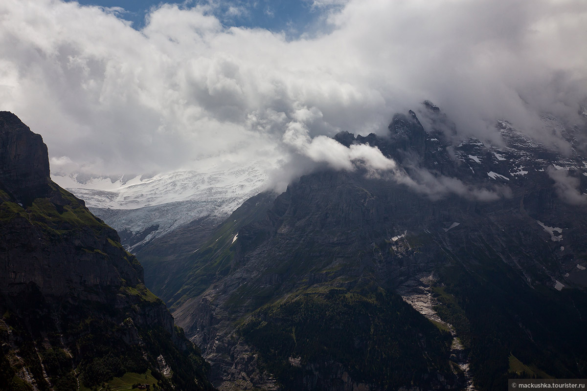 First, Grindelwald